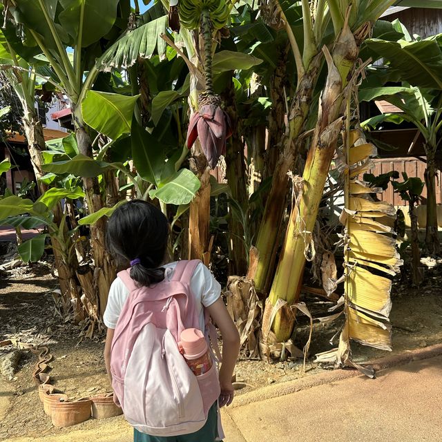 沖繩玉泉洞/琉球王國/植物園