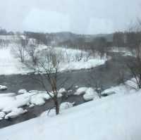 Niseko's Snowy Serenity: 2015 Chronicles