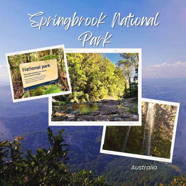 Summit to Waterfall: A Journey Through Springbrook