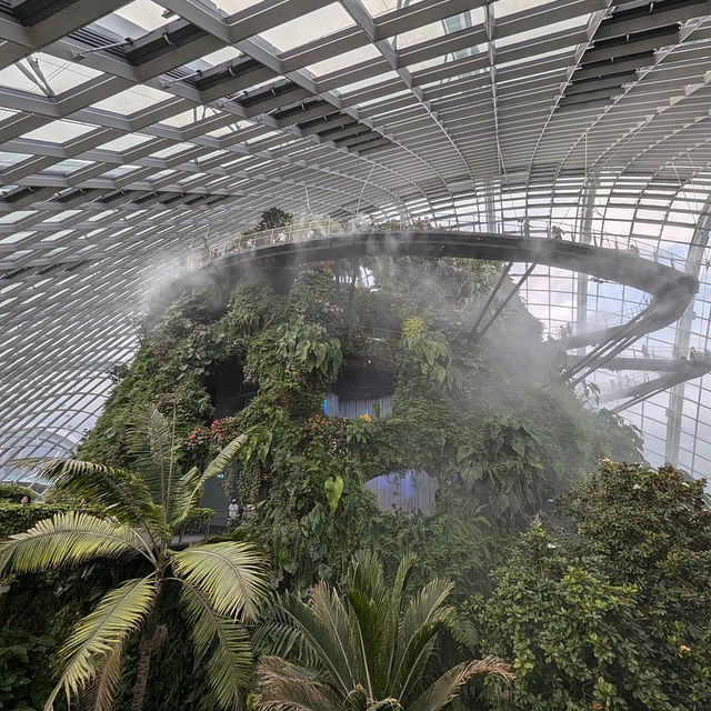 Most beautiful indoor garden in Singapore 🇸🇬 