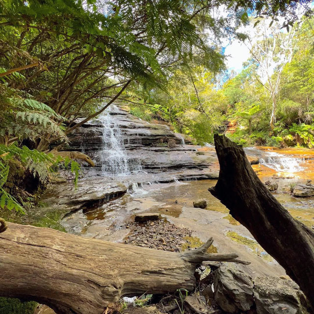 Exploring the Blue Mountains: A Natural Wonderland