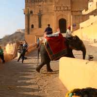 Jaipur: The Pink City's Timeless Charm