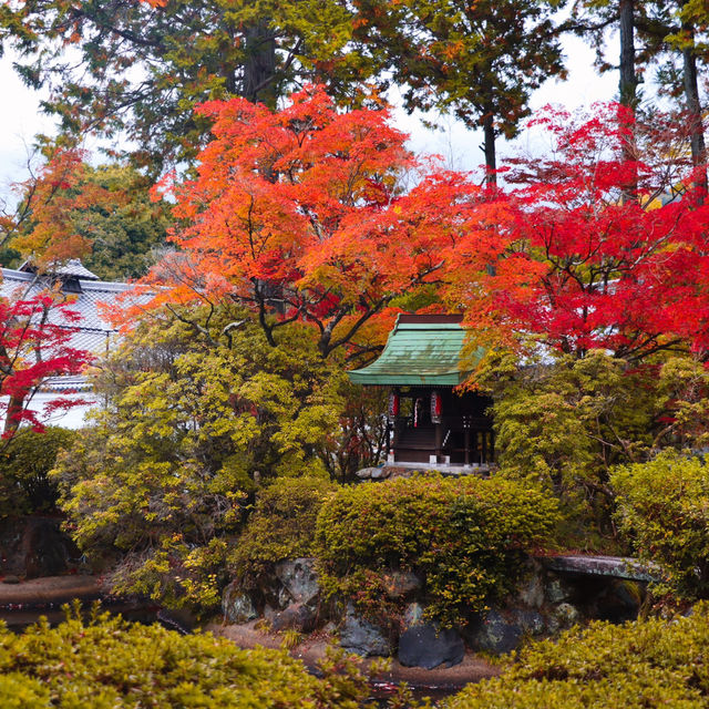 Shinnyodo Temple