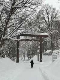 Hokkaido Jingu: A Sacred Shrine in the Heart of Sapporo