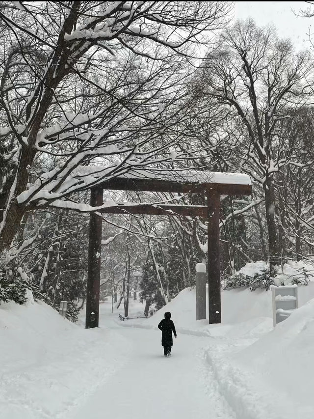 Hokkaido Jingu: A Sacred Shrine in the Heart of Sapporo