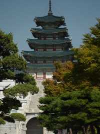 Beautiful Gyeongbokgung Palace 