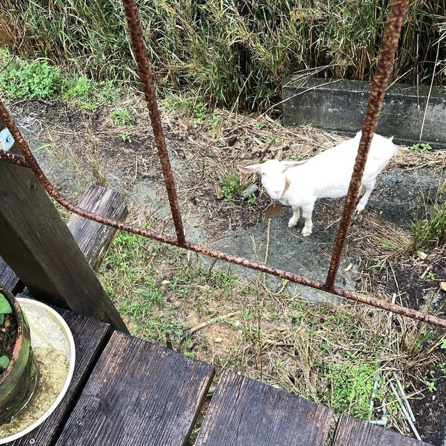 【沖縄】海が見渡せるカフェ