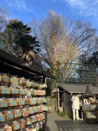 【東京観光】合格祈願なら上野大仏