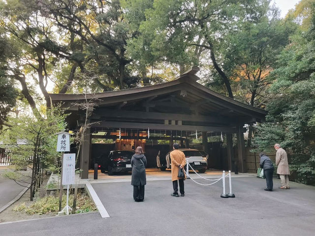 Embrace the Sacred Calm of Meiji Jingu