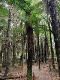 Greymouth West Coast New Zealand