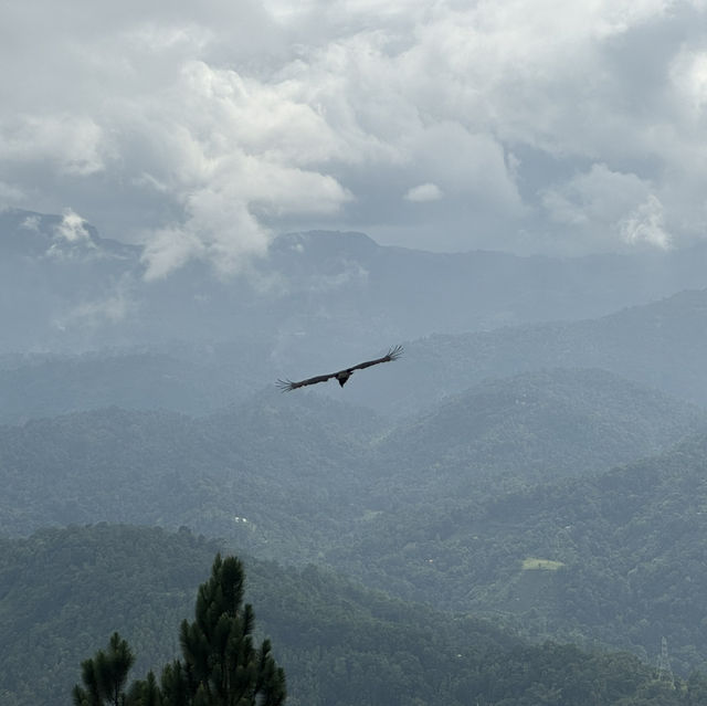 The Beauty of Sri Lanka’s Hill Country