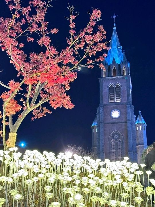 Myeongdong Cathedral Covered with Blossoms🌸