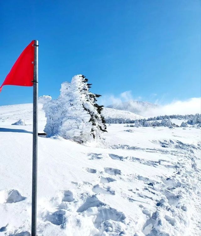 濟州島漢拿山登山徒步攻略 旅行搭子路線