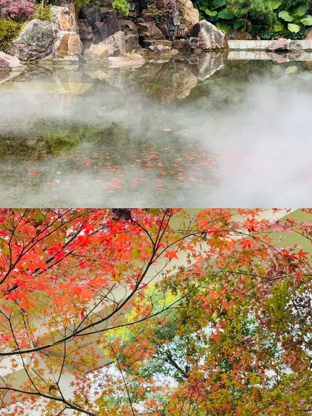 上海延中綠地附近冷門公園已美到封神附路線