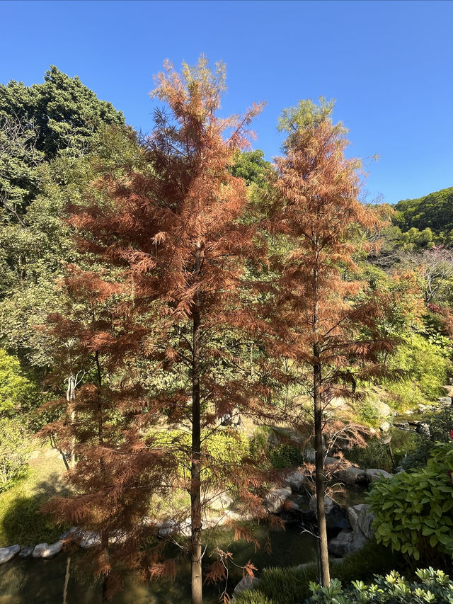 雲溪植物園