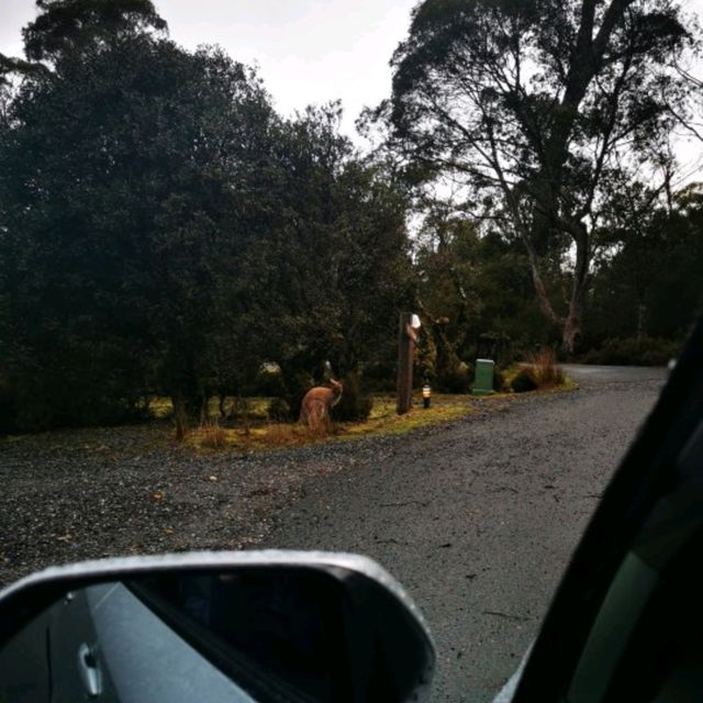 Cradle Mountain! 