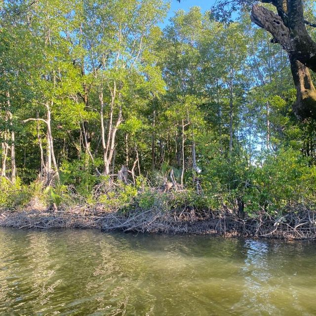 Kawa-Kawa River Cruise! 