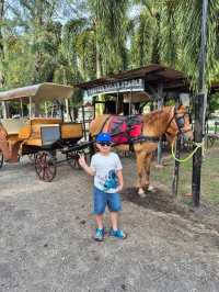 Johor Horse Carriage 🐎