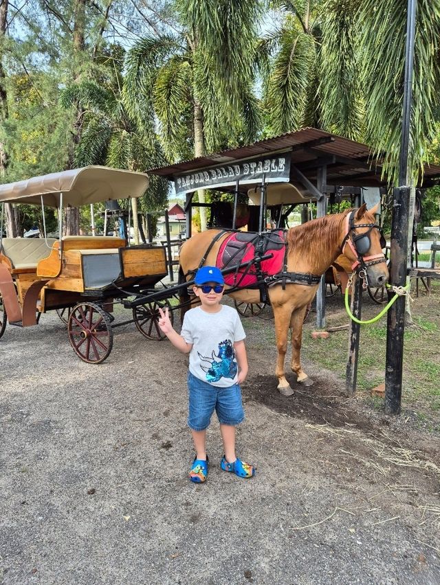 Johor Horse Carriage 🐎