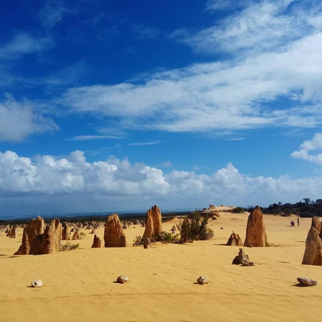 **A Journey Through the Pinnacles: Nature’s Spectacular Masterpiece**