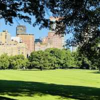 Summer at Central Park, New York 💚