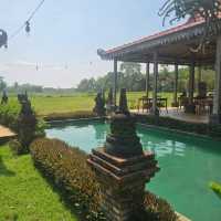 Tranquil Retreat at Rumah Dharma Villas Borobudur