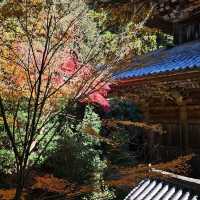 書寫山圓教寺〔講法堂〕的歷史與魅力