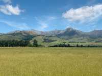 Exploring the Scenic Crown Range Alpine Road