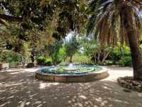 Autumn at Botanical Garden Cagliari 🗺️