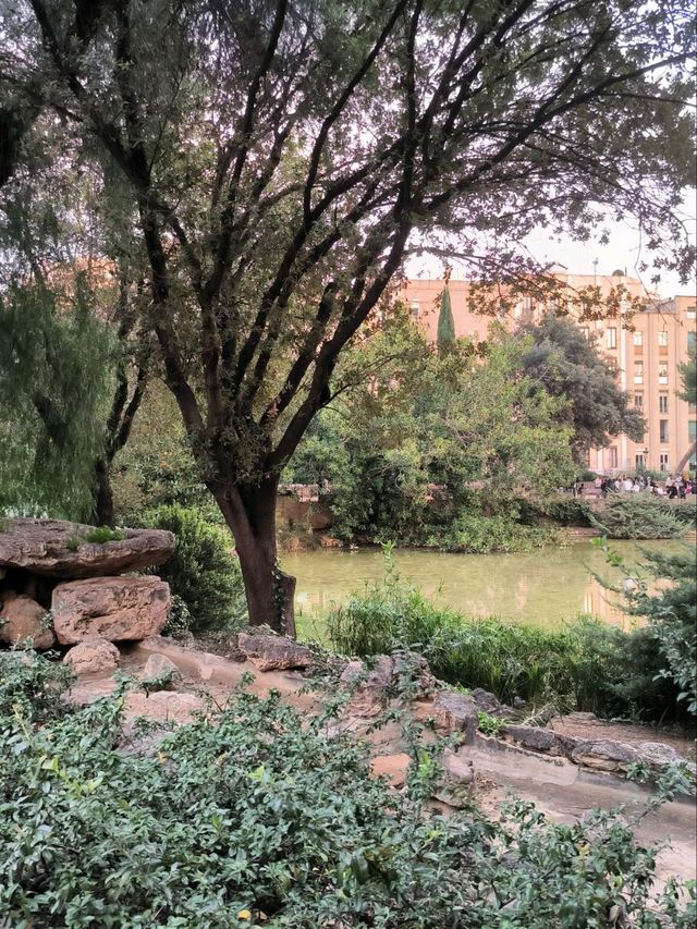 Plaça de Gaudí: A Tranquil Gem with Stunning Views of Sagrada Familia 🌳✨