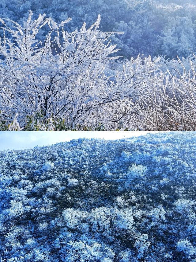 人生建議：南方人第一次滑雪來神農架