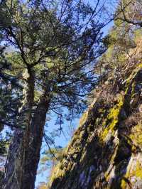 只有到達山頂，才能看見的風景