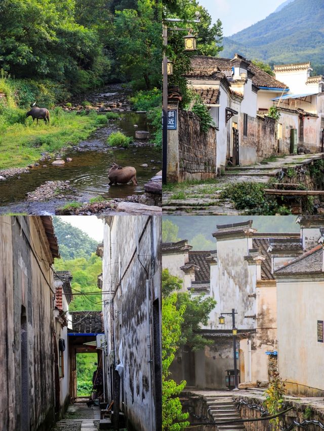 夏天總要去一次宣城吧！泡在水裡暢玩一夏