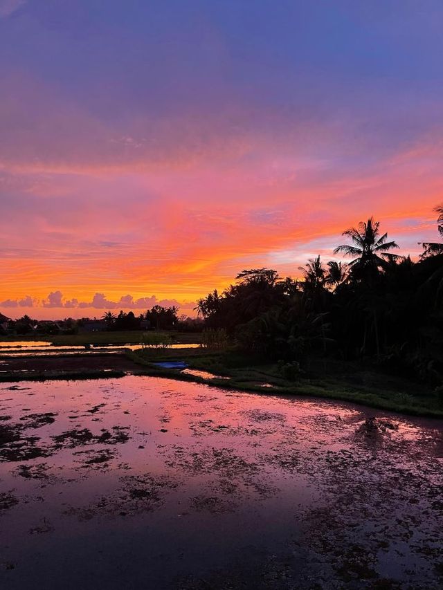 🌴✨ Bali Bliss: Luxe Villas Ubud Unveiled ✨🌴