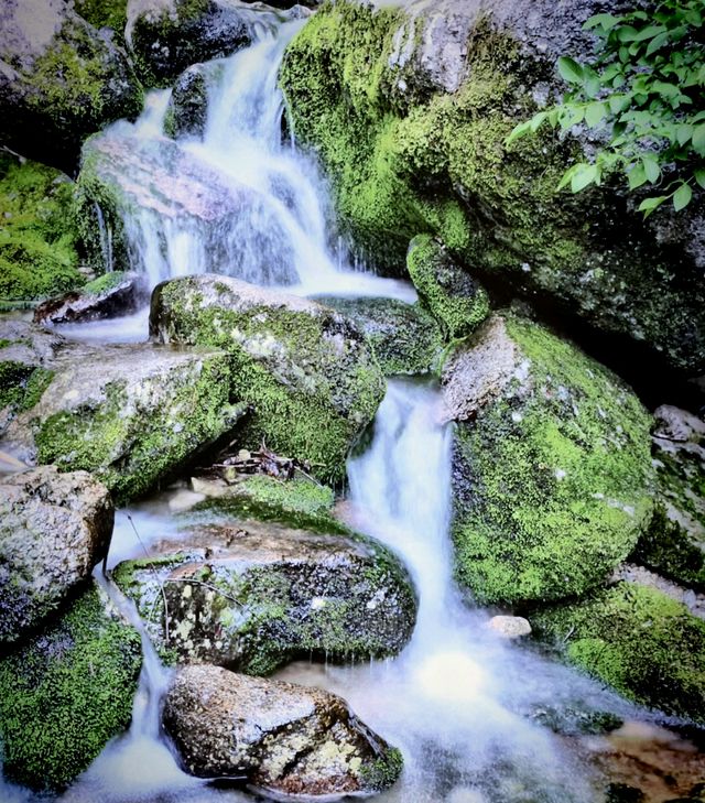 王順山國家森林公園：綠海波濤，奇峰異石，自然奇觀盡收眼底