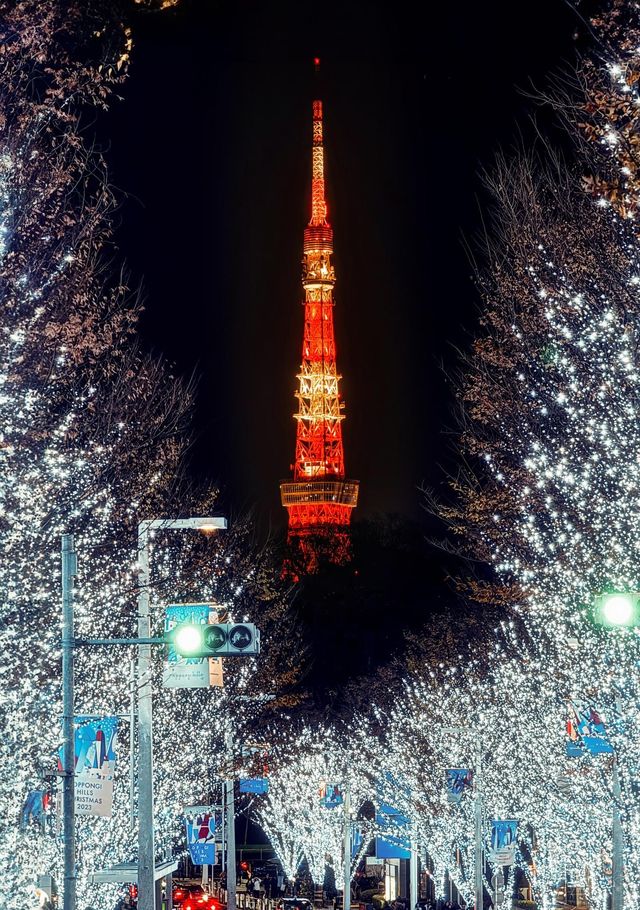 Experience the Magic of Tokyo's Christmas Illuminations