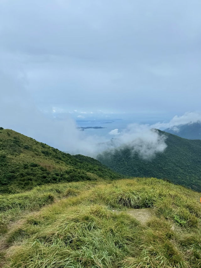 雲霧繚繞：七娘山的詩意探險