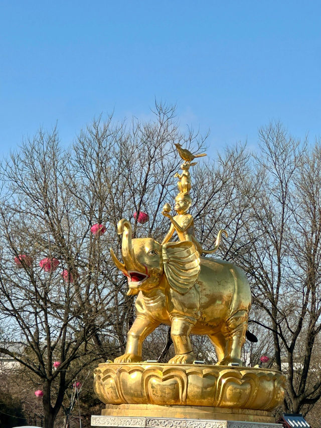 呼和浩特｜大召寺｜祈福聖地、佛教瑰寶