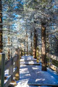 四川旅行｜美爆了的西嶺雪山，從早嗨到晚！