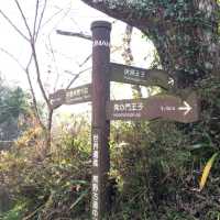 慢步日本山野 - 熊野古道