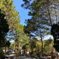 A peaceful mind - Truc Lam Pagoda 