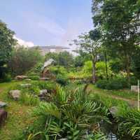  The hidden gem of Kingfisher Wetlands at Gardens by the Bay 🇸🇬