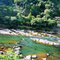 保津川漂流•渡月橋•竹林小徑•嵯峨野觀光小火車