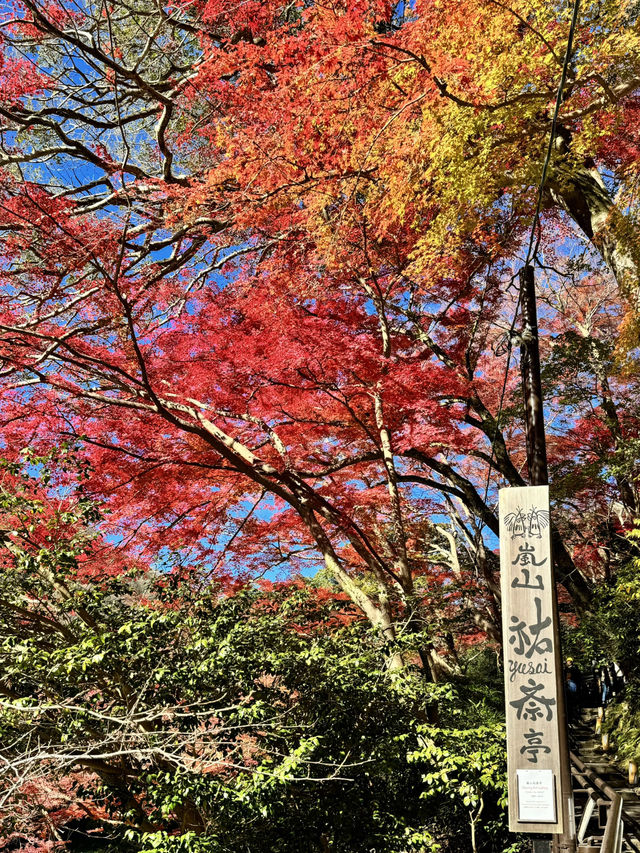 丸窓から映り込む紅葉リフレクションが絶景✨水鏡も最高！