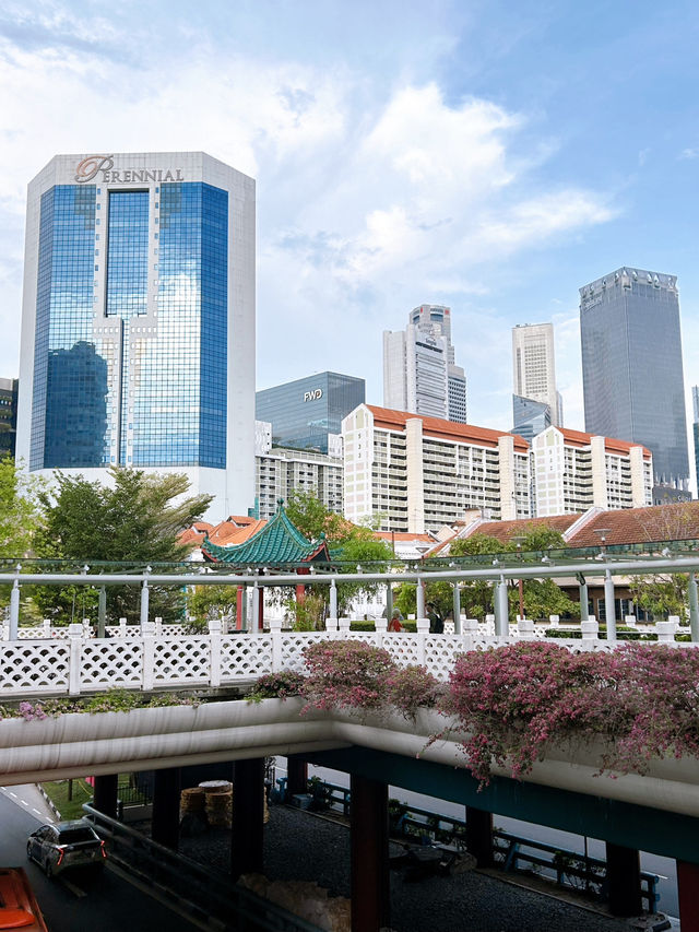 Chinatown's Heritage Buildings and Newer Developments 