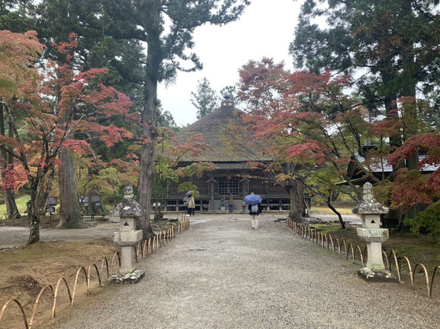 世界遺産巡り　毛越寺