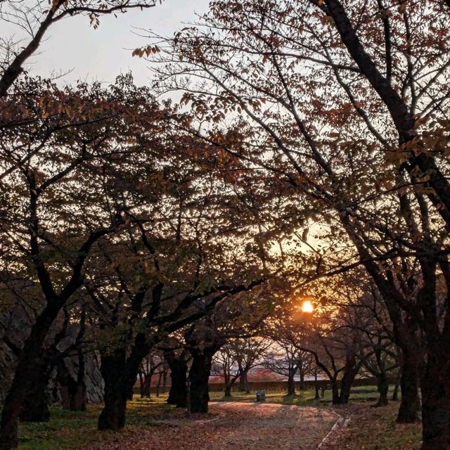 盛岡城跡的紅葉與日出，紐時評選必訪的城市第二名