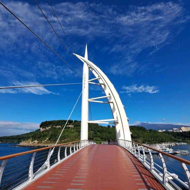 濟洲島柱狀節理帶🏞️天帝淵瀑布📸鳥島新緣橋🌁龍淵峽谷👣熱門打卡景點介紹👍