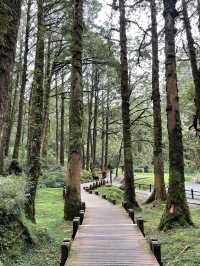 Alishan day trip