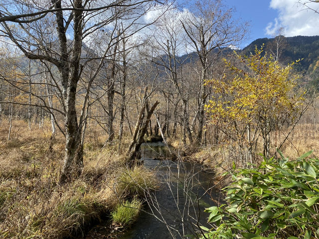 田代濕原